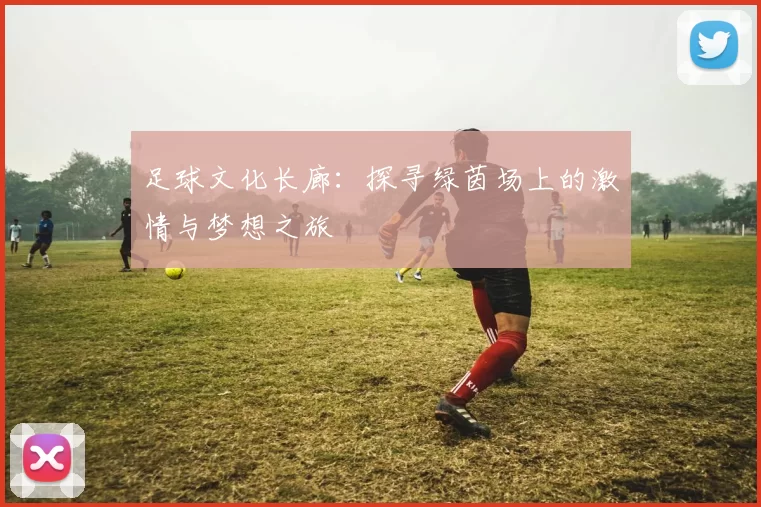 足球文化长廊：探寻绿茵场上的激情与梦想之旅