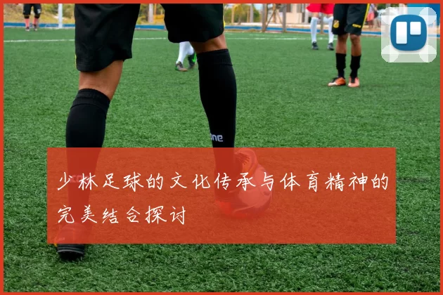 少林足球的文化传承与体育精神的完美结合探讨