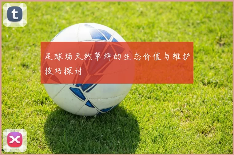 足球场天然草坪的生态价值与维护技巧探讨
